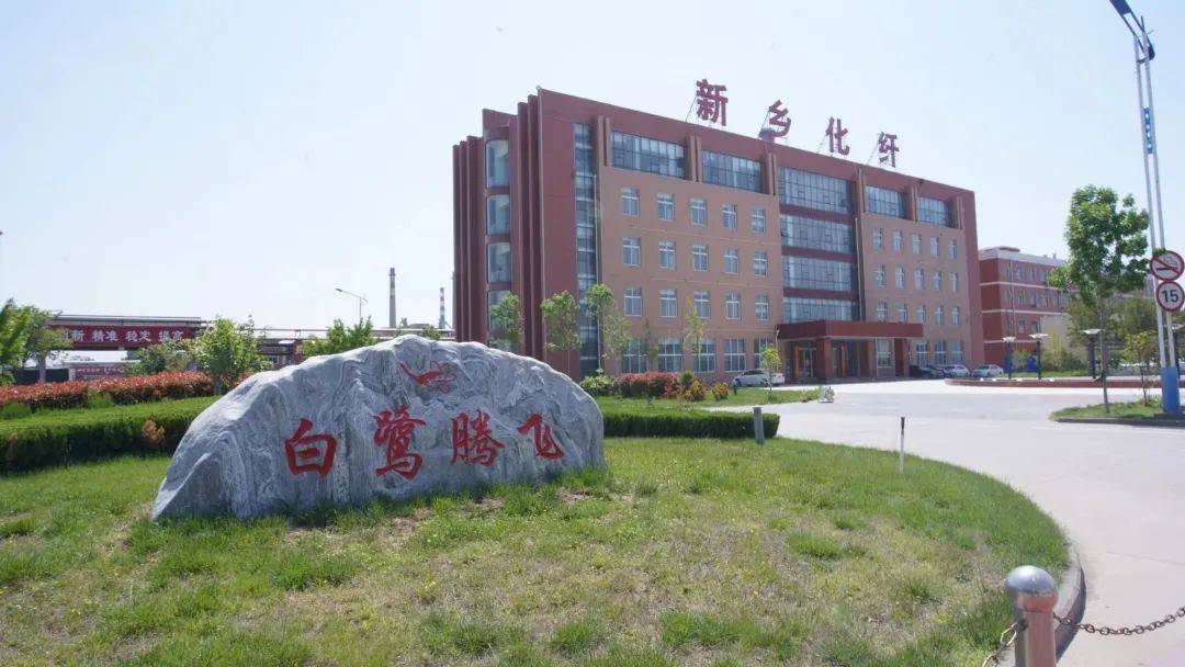 以草代木、天然抗菌、可自然降解，新鄉(xiāng)化纖開(kāi)創(chuàng)新的“傳奇”——菌草纖維 